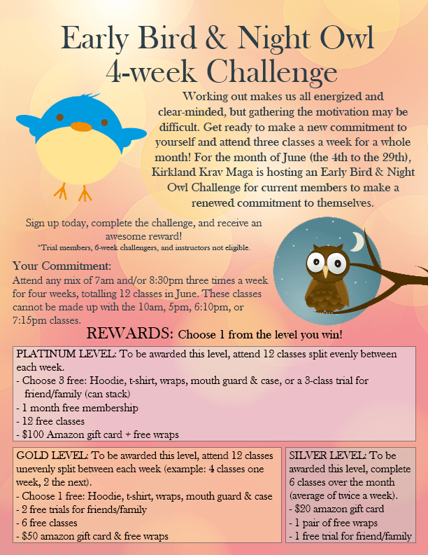 krav maga 4-week challenge poster